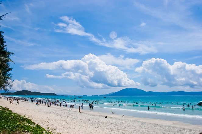 Tc bãi biển