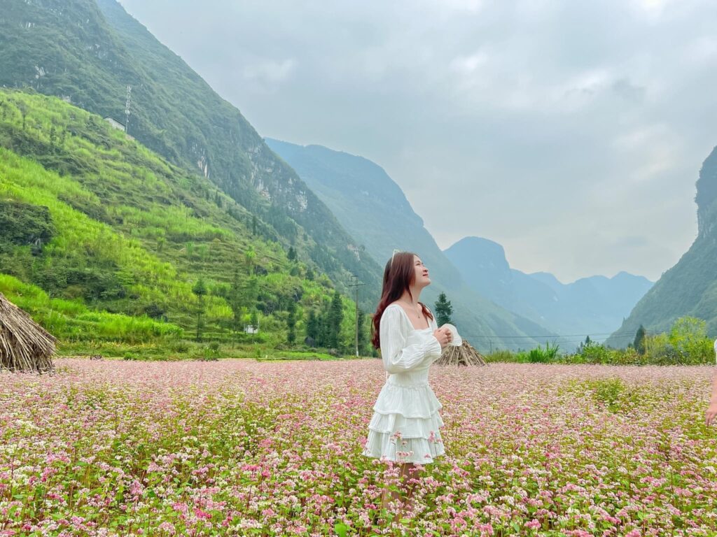 Hà giang mùa tam giác mạch