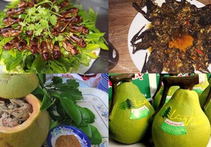 ẩm thực bửu long