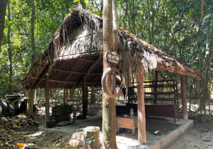 giờ mở cửa địa đạo củ chi